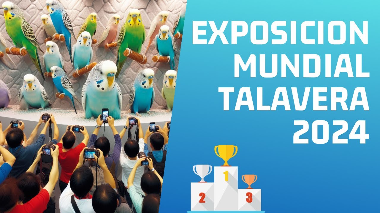 EXPOSICIÓN MUNDIAL TALAVERA 2024