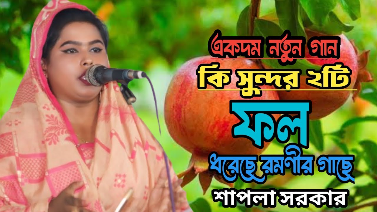 কি সুন্দর ২ টি ফল ধরেছে রমণীর গাছে || শাপলা সরকার || Baul Shapla Sorkar Baul Gaan 2024