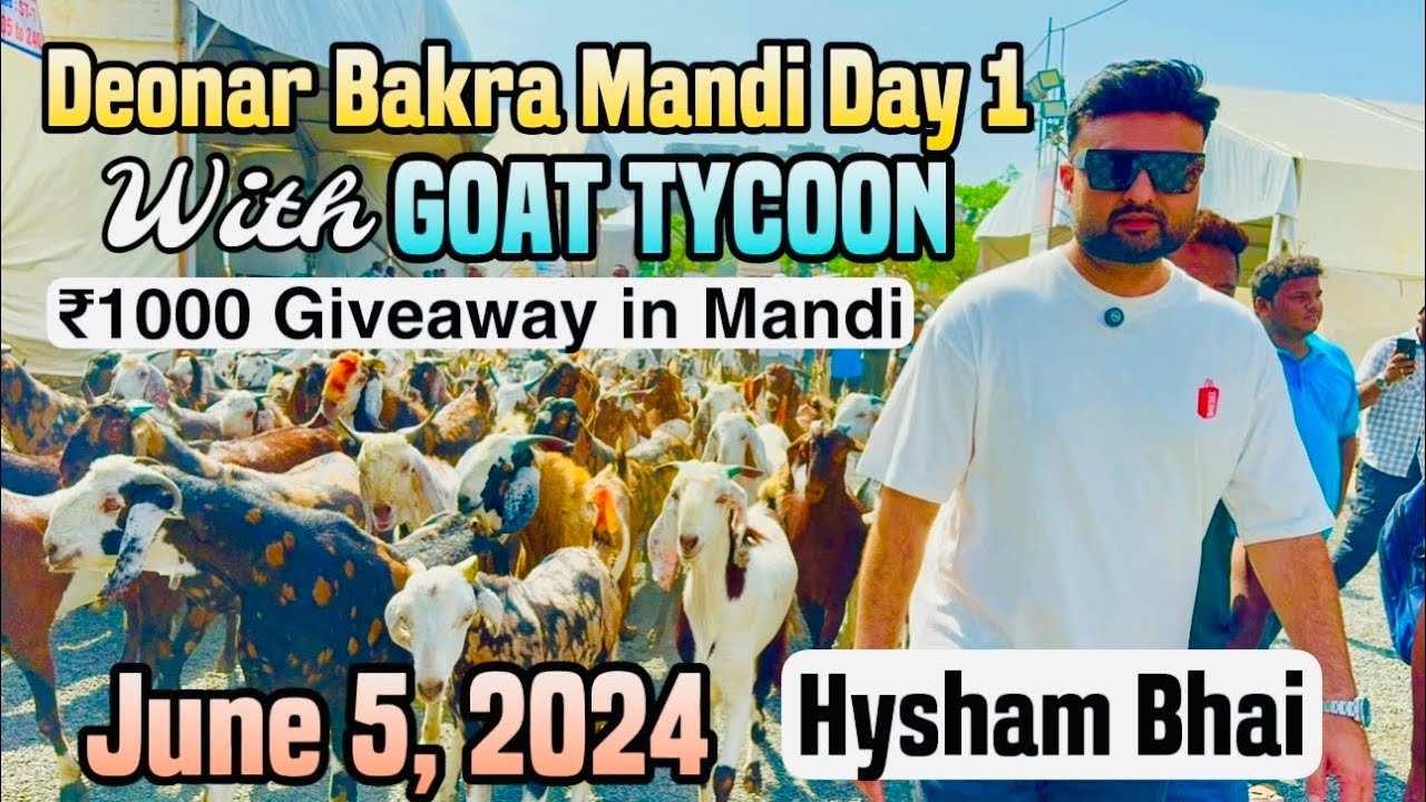 Deonar Bakra Mandi June 5, 2024 Vlog with Goat Tycoon Hysham Bhai | Day 1
