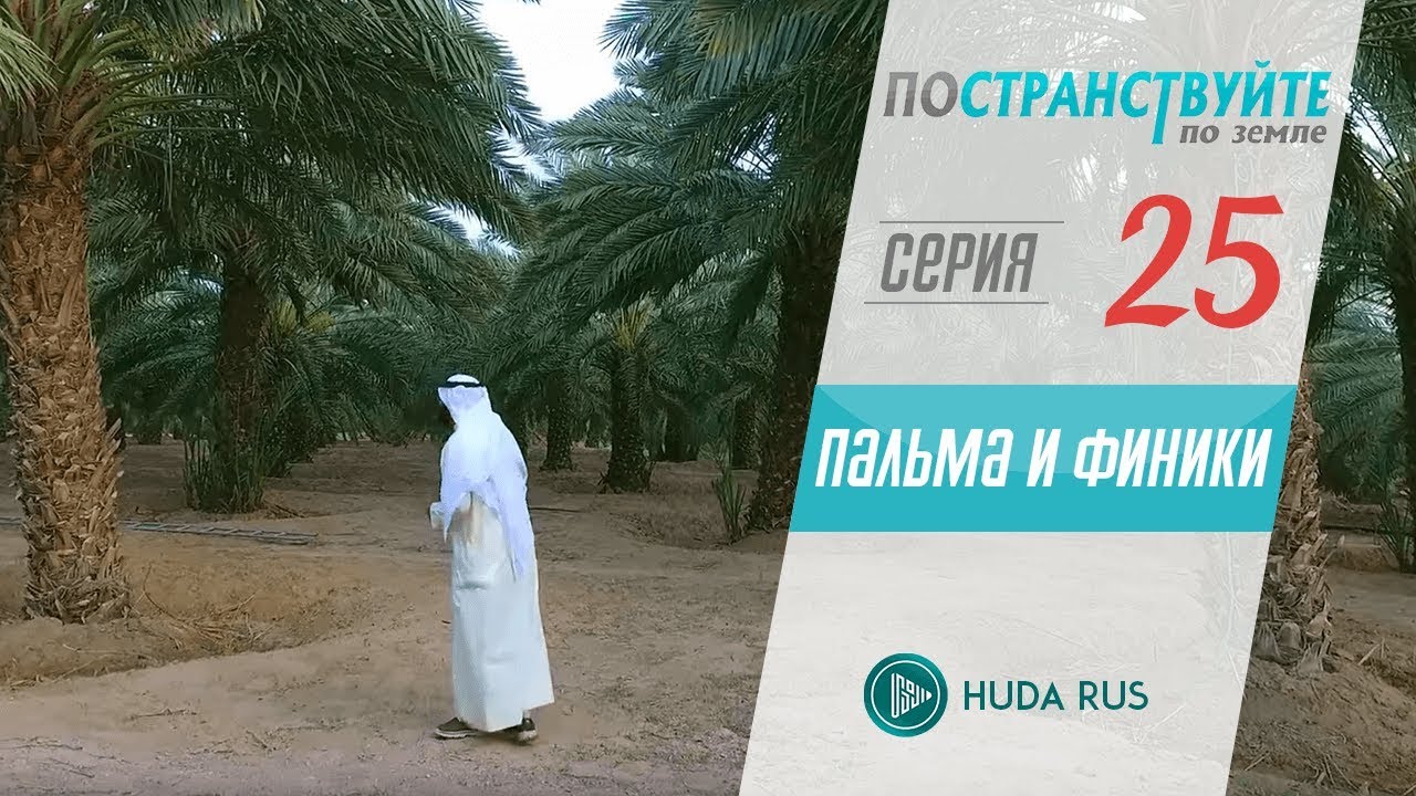 Научные факты о пальме и финиках || 
