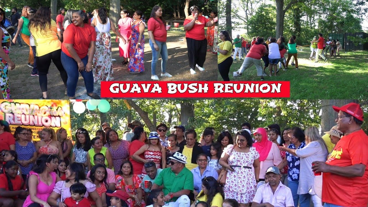 GUYANA...GUAVA BUSH REUNION--ALBION..BERBICE, GUYANA  LIVE TASSA, #familyfun