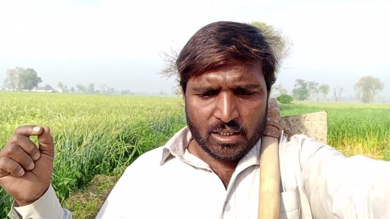 March 9, 2026 bakri ke niche mitti kaise fenki jaati hai