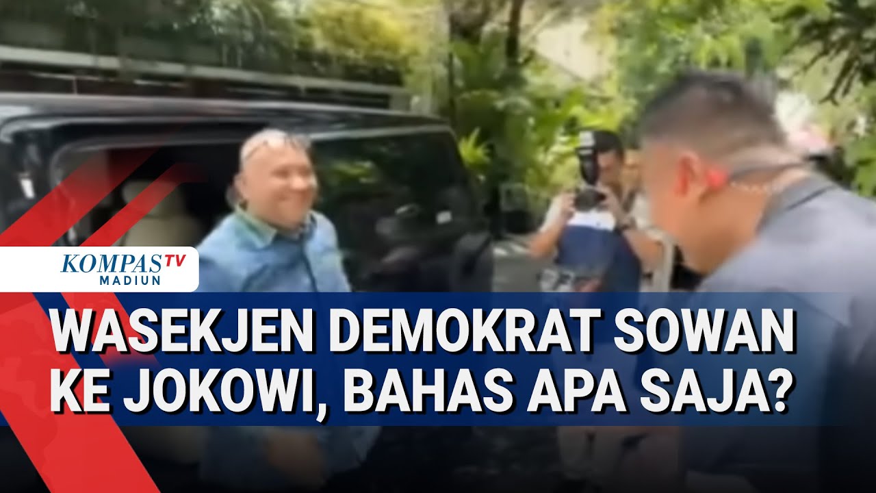 Wasekjen Demokrat Sowan ke Jokowi Ungkap Pembahasan Pertemuan, Adi Prayitno Sebut Soal ini