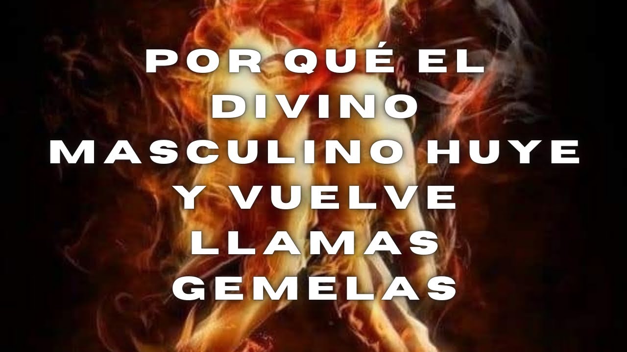 PORQUE EL DM VA Y VIENE PROCESO DE LLAMAS GEMELAS 