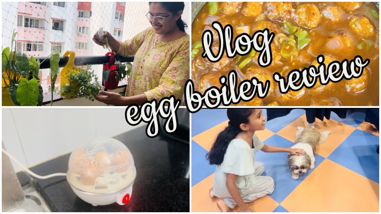 Vlog/ഈ Egg Boiler നല്ലതാണോ ? /Visiting a library❤️