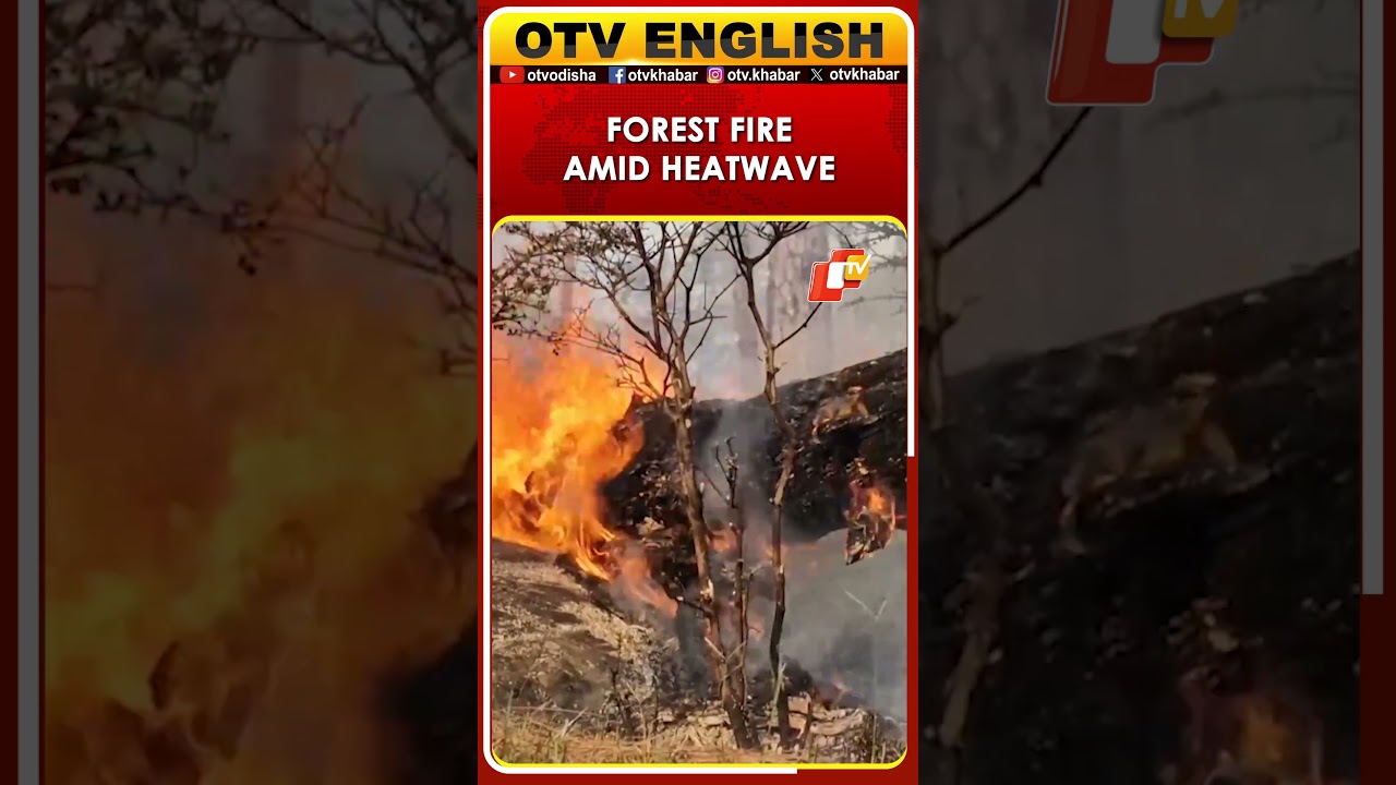 J&K: Forest Fire Erupts In Ramnagar's Rang Forest Area Amid Intense Heatwave