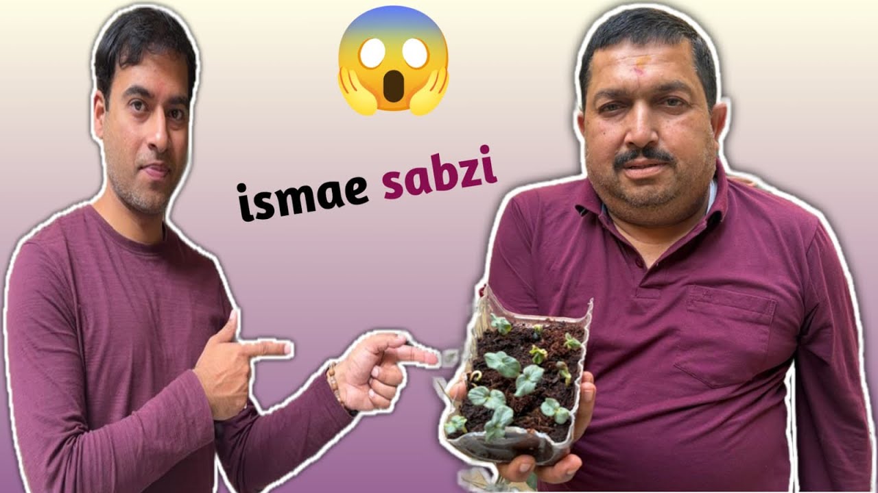 Ghar ki terrace pr itni sabziyaan😍/varunvlogs/#terracefarming 
