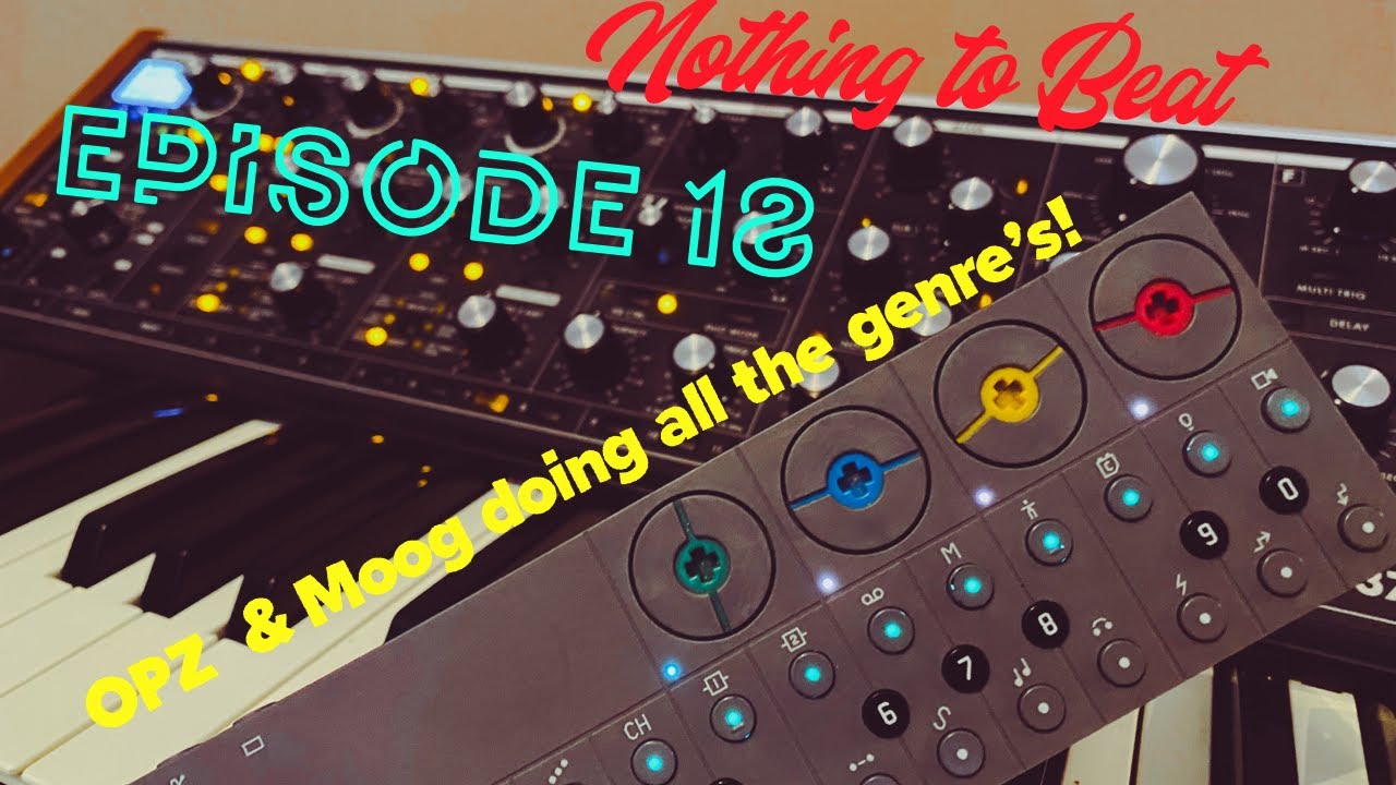 Nothing To Beat Episode 18 - OPZ & Moog Try All the Genres