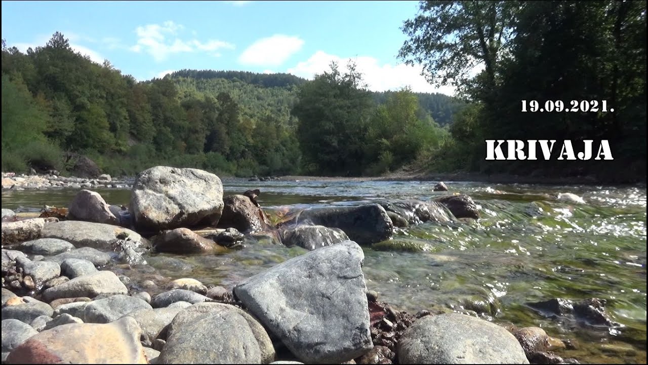 Krivaja 19.09.2021.