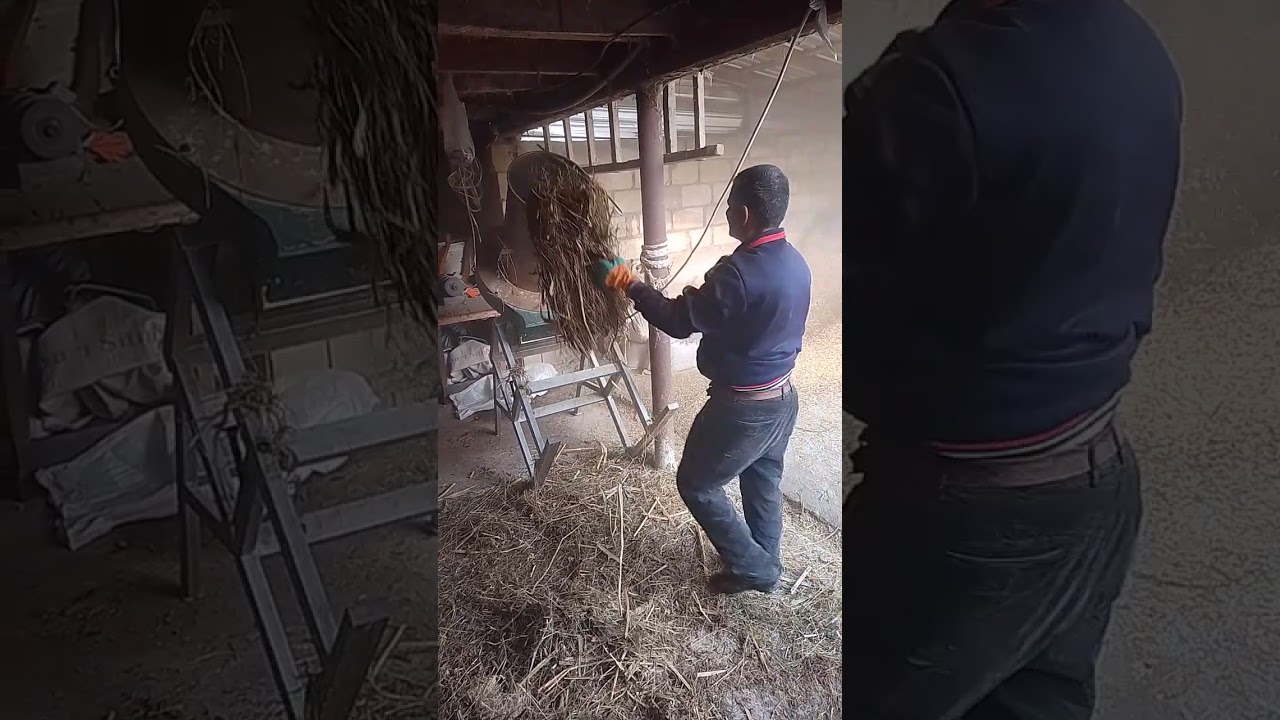 Ot doğrayan yem üyüdən 5,5 kvt 220 volt. Универсальный дробилка 5,5 кВт 220 вольт. 0558974430 Raqif