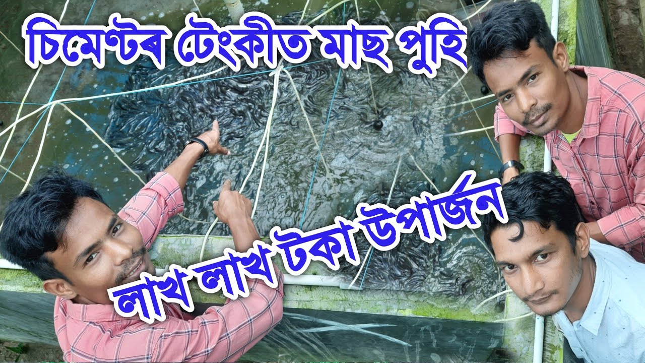 মাছ পুহি লাখ লাখ টকা || Biofloc fish farming in assam || @Pranab jyoti vlogs