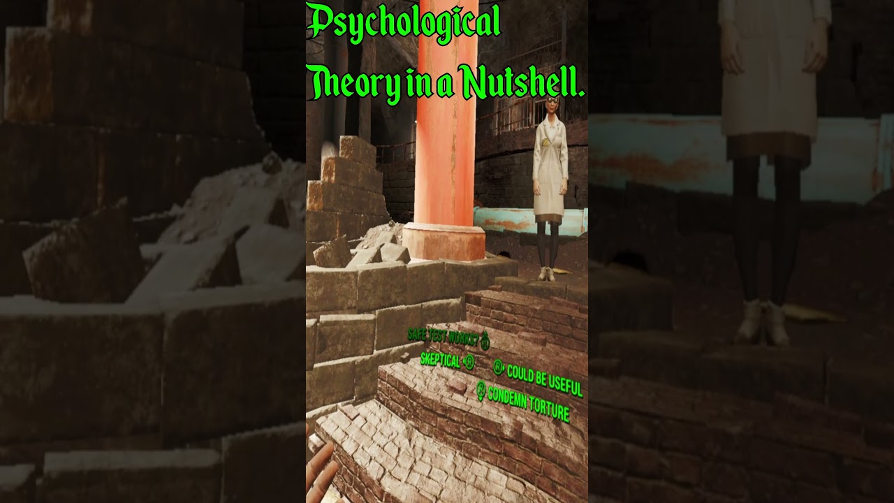 Psychological Theory in a Nutshell. Fallout 4 VR