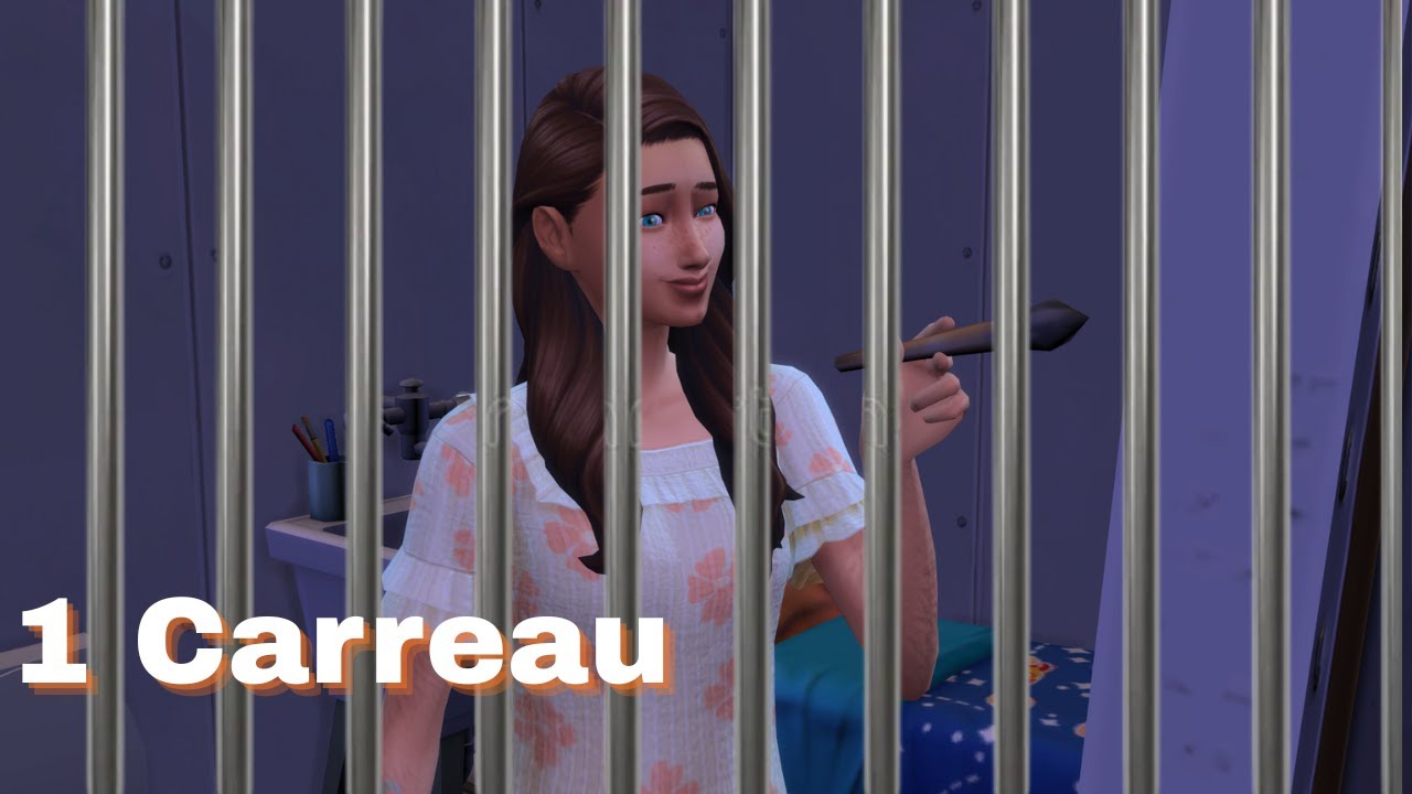 Survivre dans 1 carreau challenge EP2 - Sims 4
