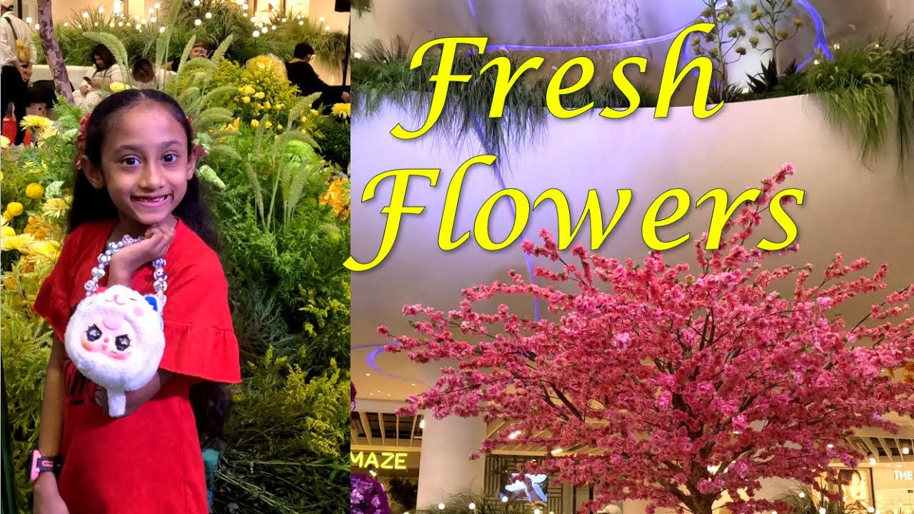 Fresh Flowers | Bangkok, Thailand