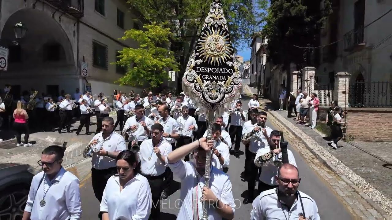 TU AGONIA | DESPOJADO DE GRANADA | PROCESIÓN SANTA CRUZ SENTENCIA | GRANADA 2024
