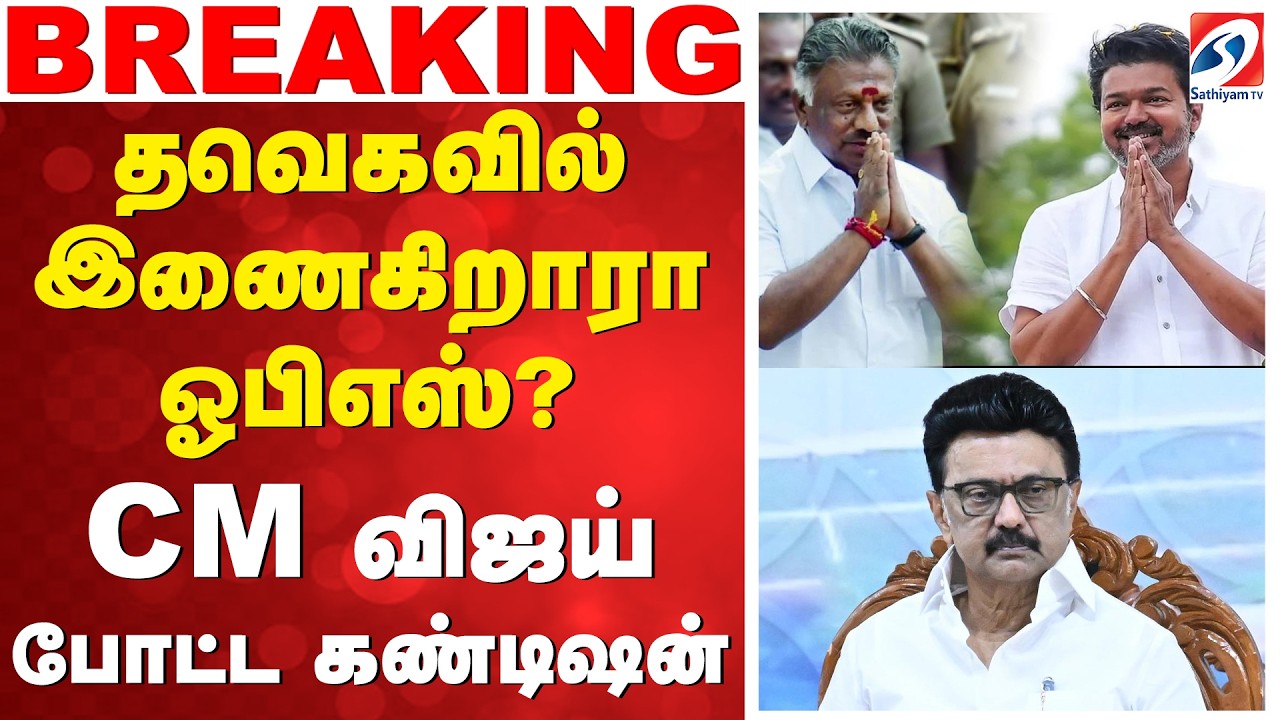🔴LIVE: CM Vijay | TVK | OPS | தவெகவில் இணைகிறாரா ஓபிஎஸ்? விஜய் போட்ட அதிரடி கண்டிஷன்