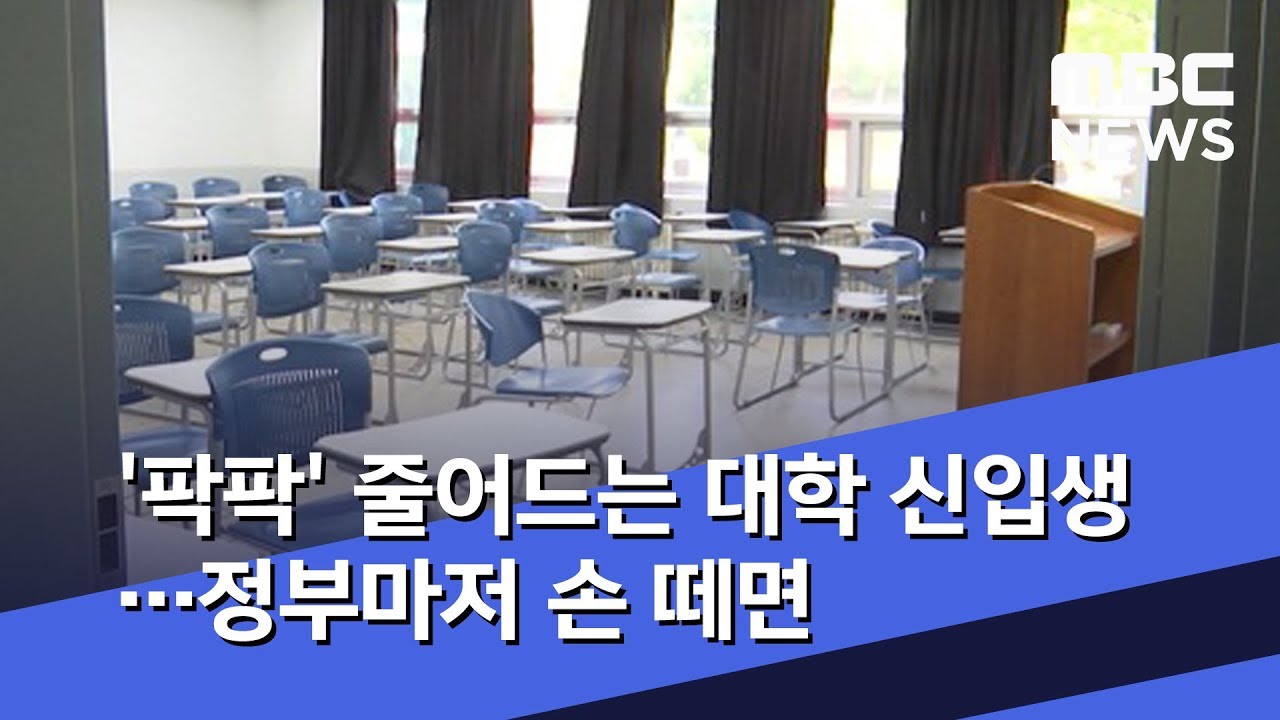'팍팍' 줄어드는 대학 신입생…정부마저 손 떼면 (2019.08.06/뉴스데스크/MBC)