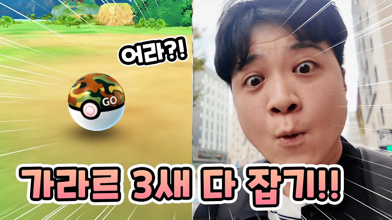사파리볼로 가라르 3새 싹다 잡아버리기! 와일드 에리어 후쿠오카 1편[포켓몬고]