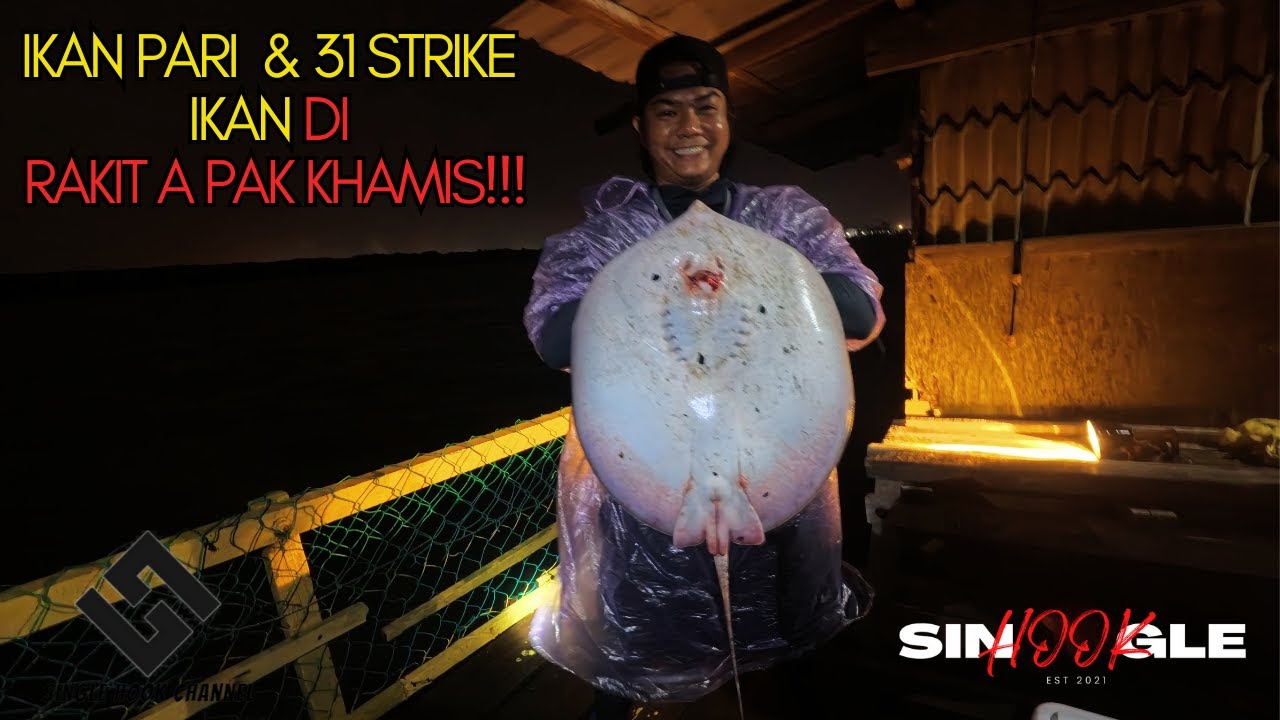 Memancing Di Rakit A Pak Khamis, Perigi Acheh, Johor | Jan 25