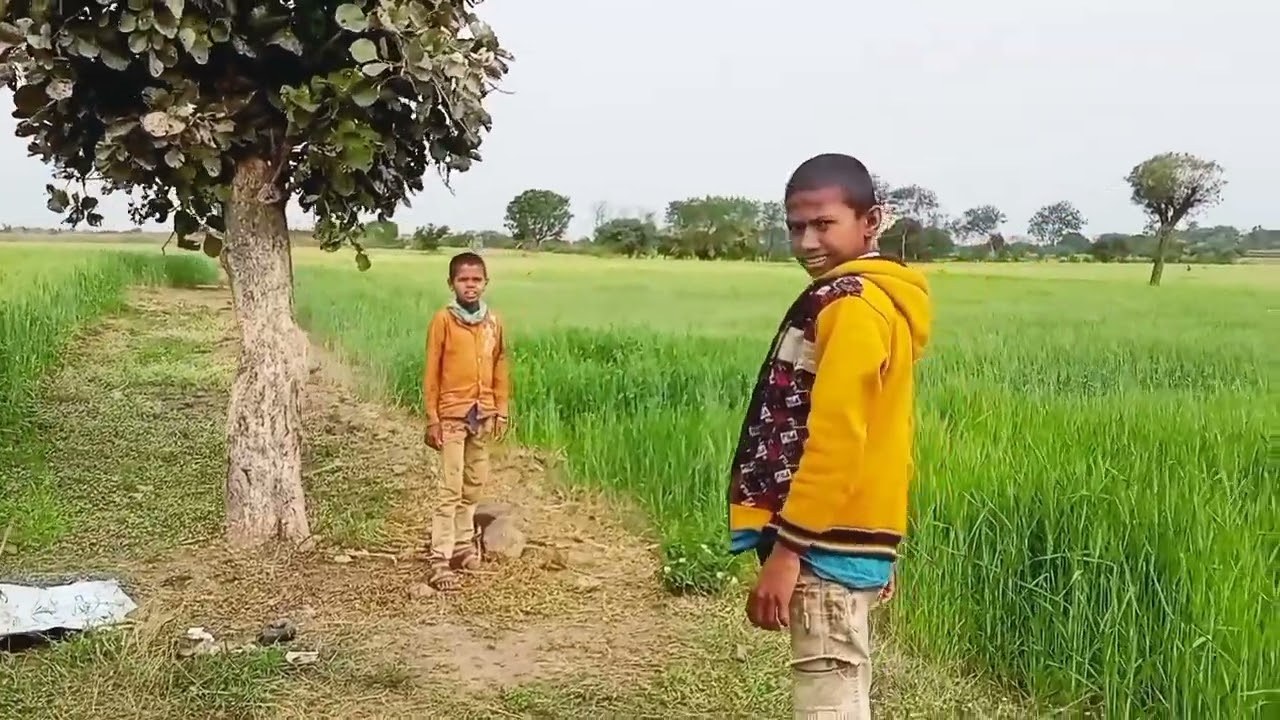 🥀💯....कोमेडी विडियो पानत का ओर चाय  //...🥀💯🚸..........🚭💝💯🥀............❌❌