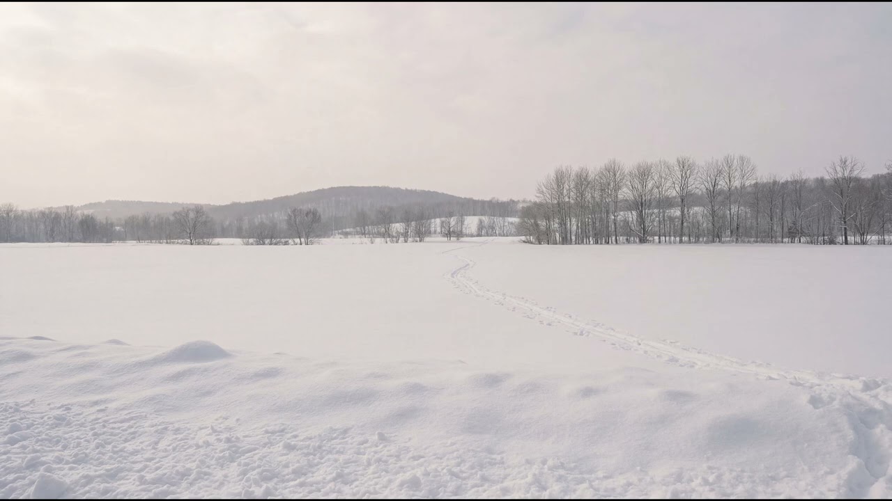 Until the Horizon Ignites – Fading Snowlines (Post-Rock Instrumental)