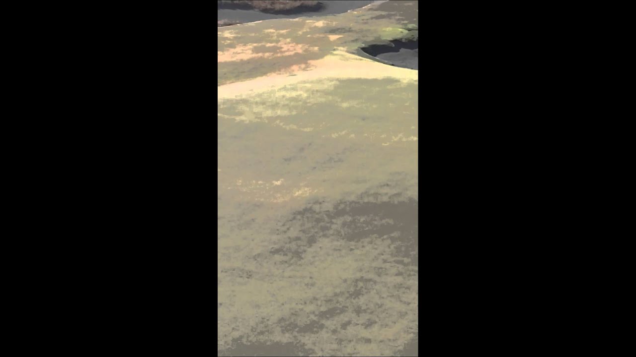 Garcia bunker shot. 2015 U.S. Open. Chambers Bay. 8th hole, day2