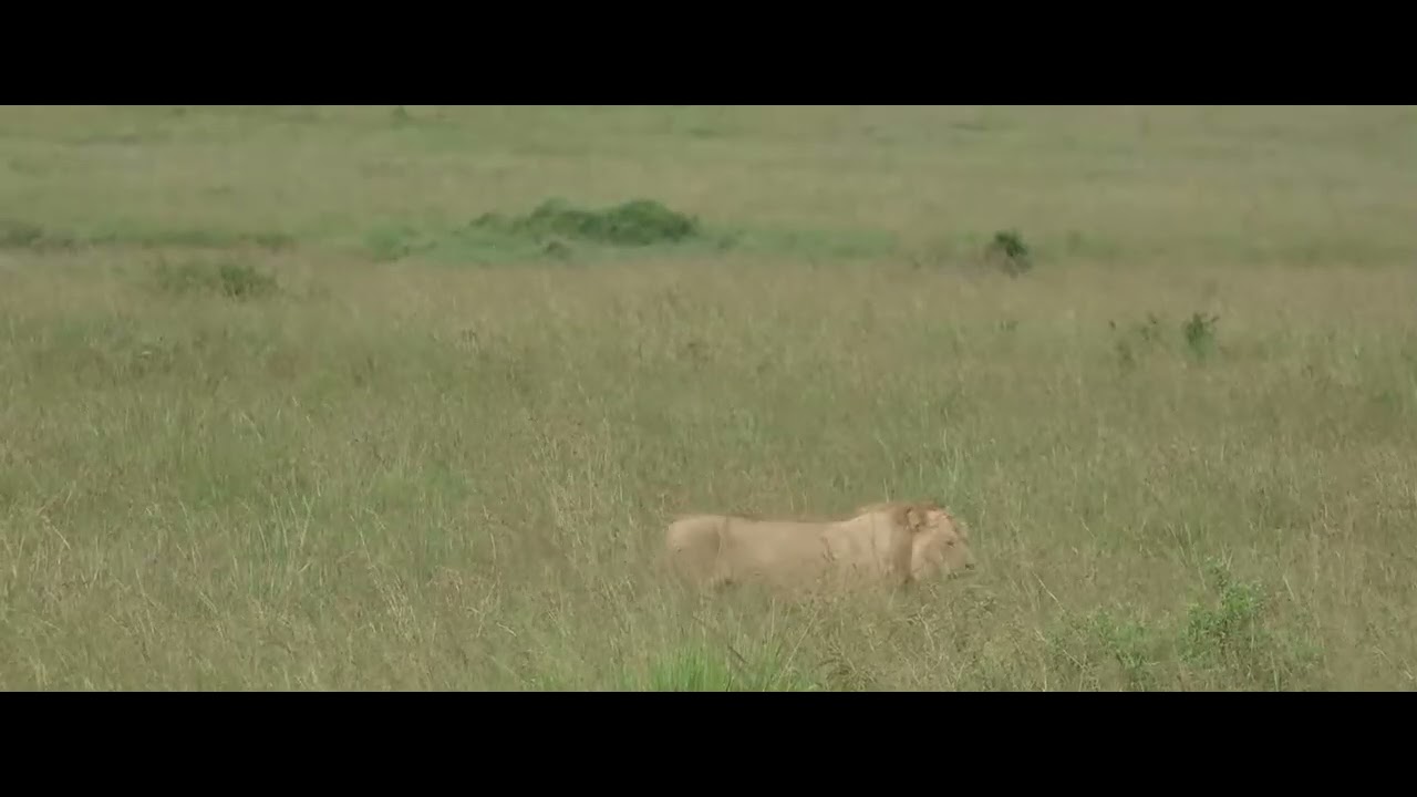 Rongai Boy (R5) on the move again