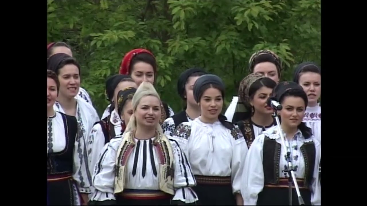 Ansamblul ICOANE – Ia ieși, goghio, pân-afară; Sadu, SIBIU