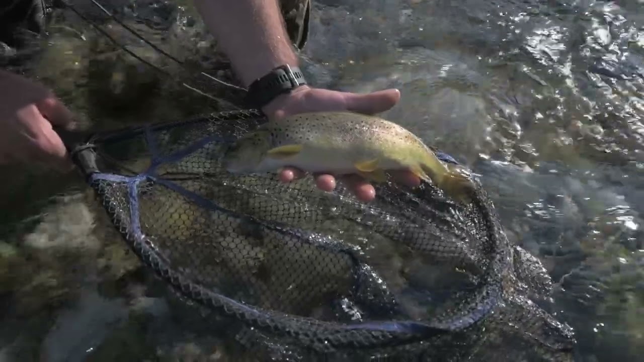 GARFAGNANA il paradiso della PESCA!