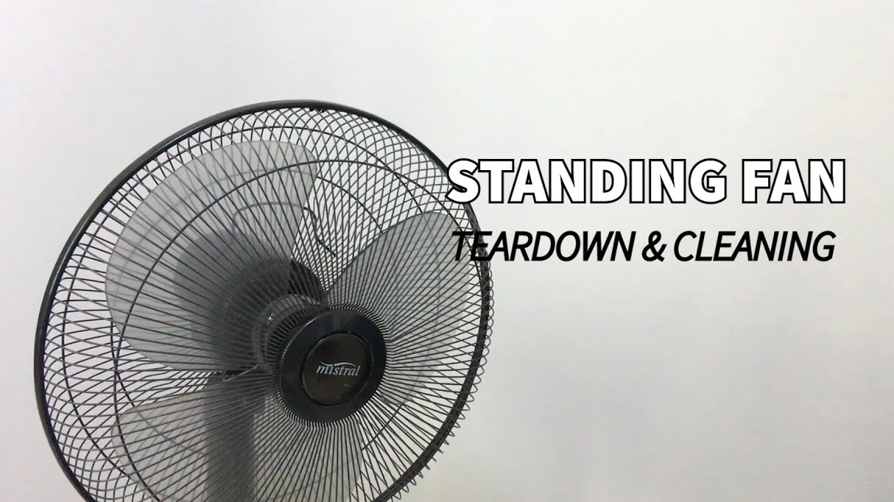 Standing Fan - How to Deep Clean a Dusty Fan & Maintain it (Easy)