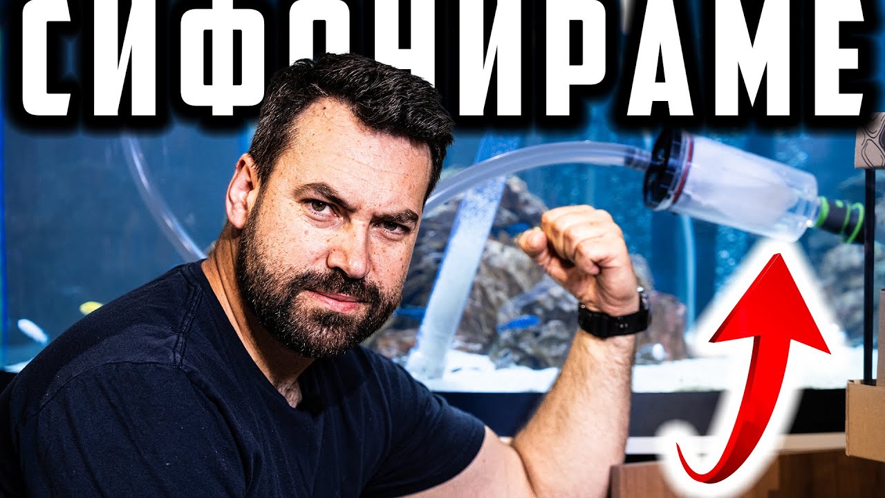 СИФОНИРАЙ КАТО ПРОФЕСИОНАЛИСТ