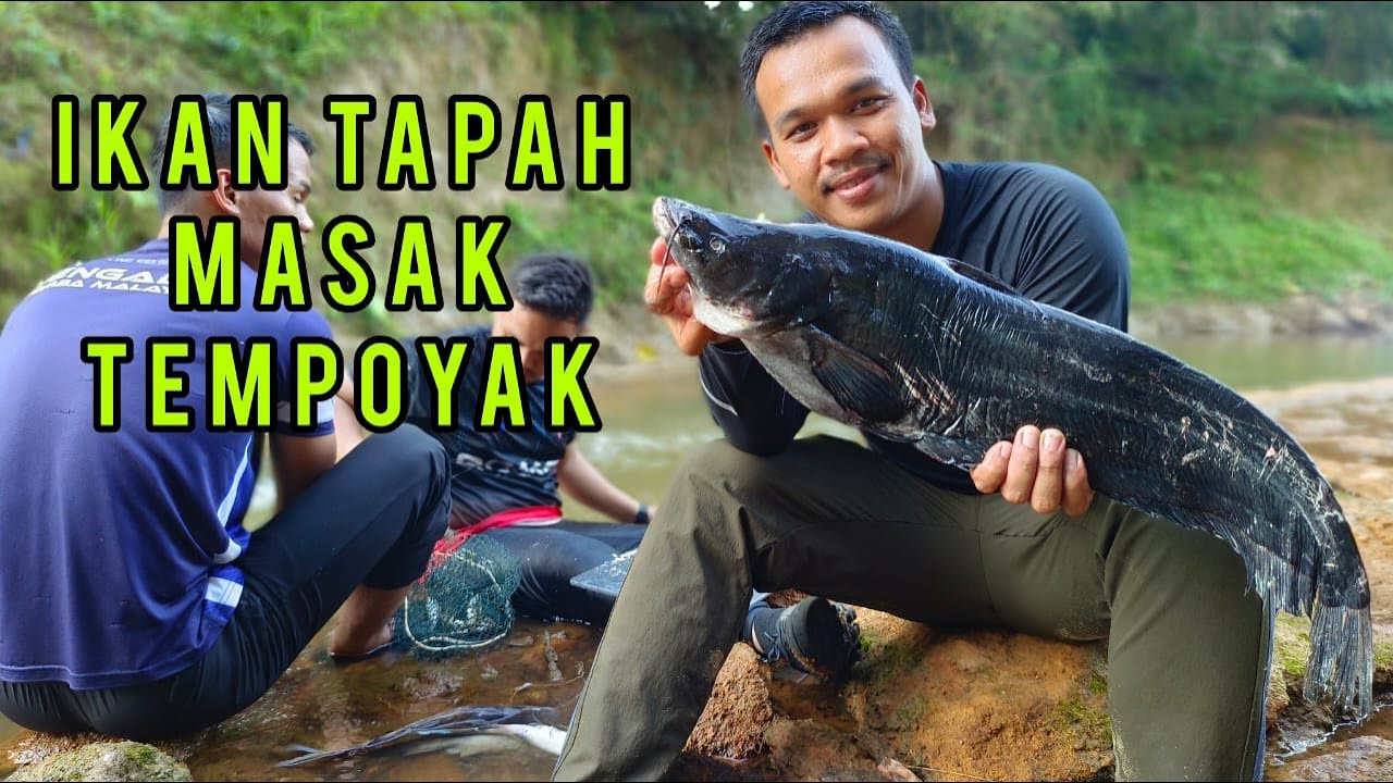 CAMPING MASAK IKAN TAPAH TEMPOYAK