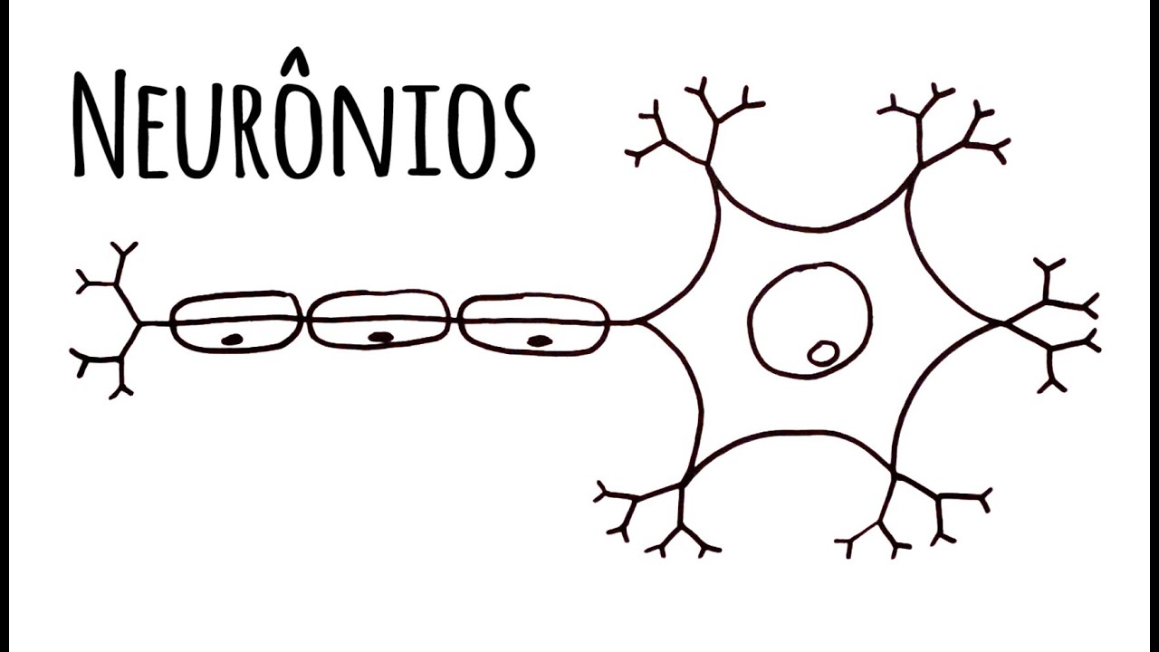 O QUE É UM NEURÔNIO?