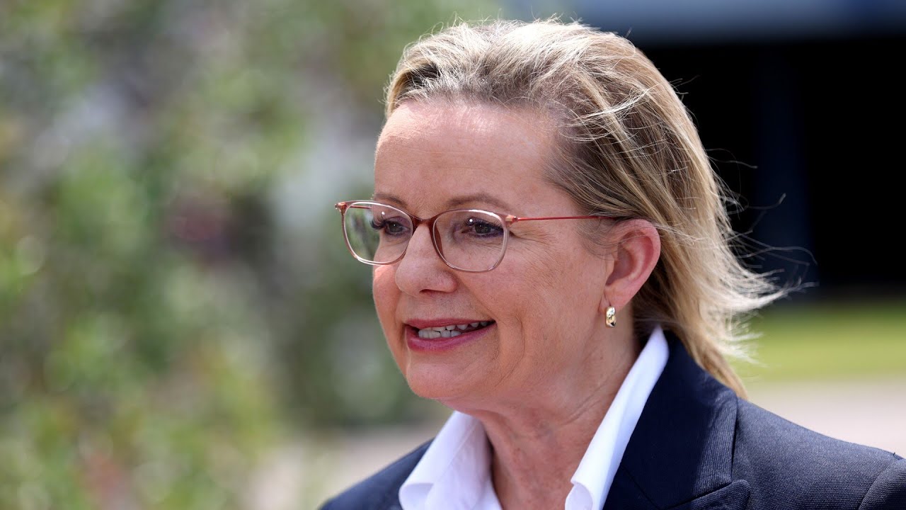 &lsquo;Preposterous, outrageous lie&rsquo;: Liberals urged to &lsquo;wake up&rsquo; to net zero debate