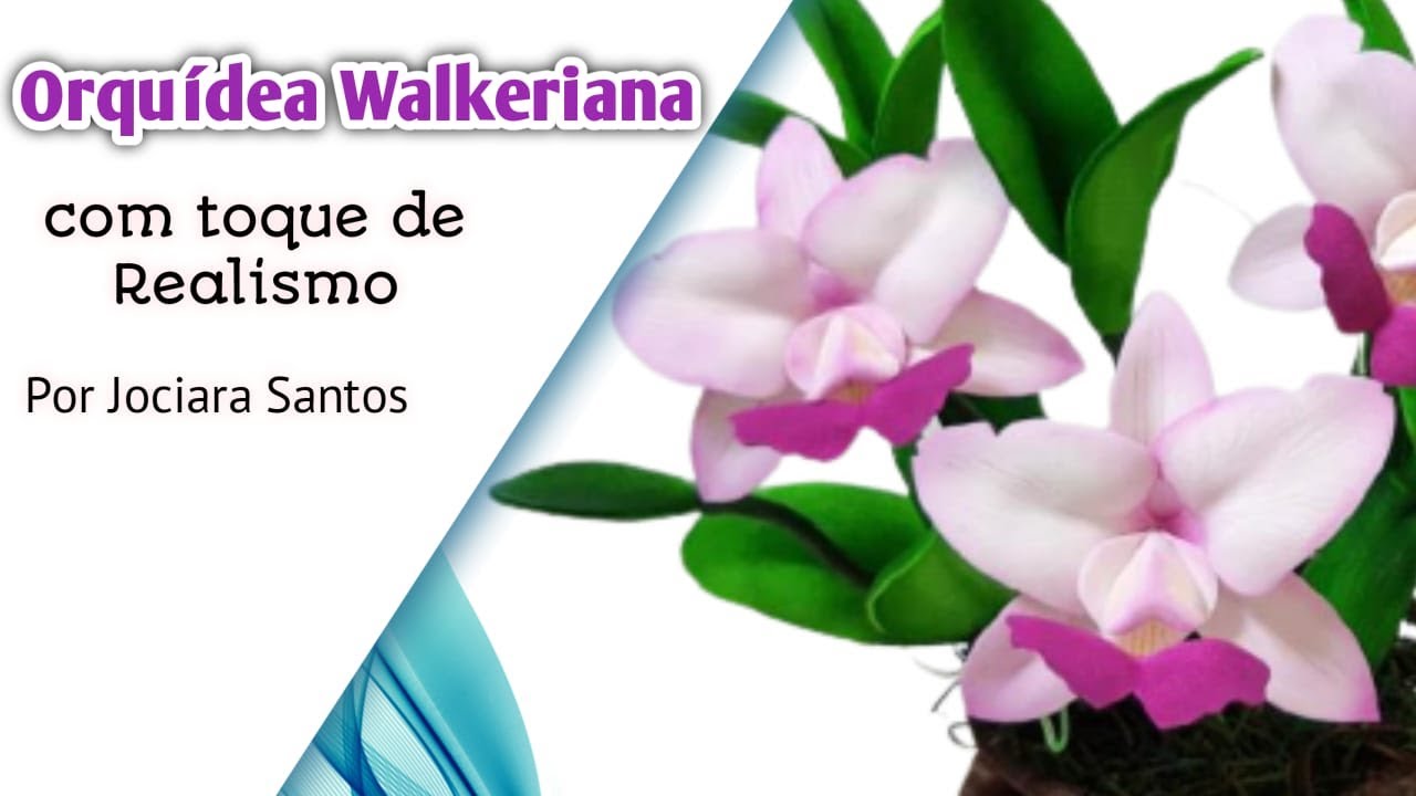 338 - ORQUÍDEA WALKERIANA!