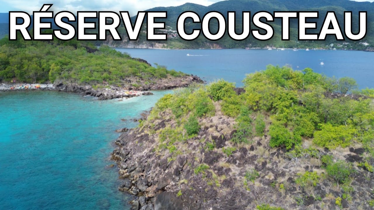R&eacute;serve Cousteau en Guadeloupe : Tortues et Plong&eacute;e Vue du Ciel 🐢🤿✨