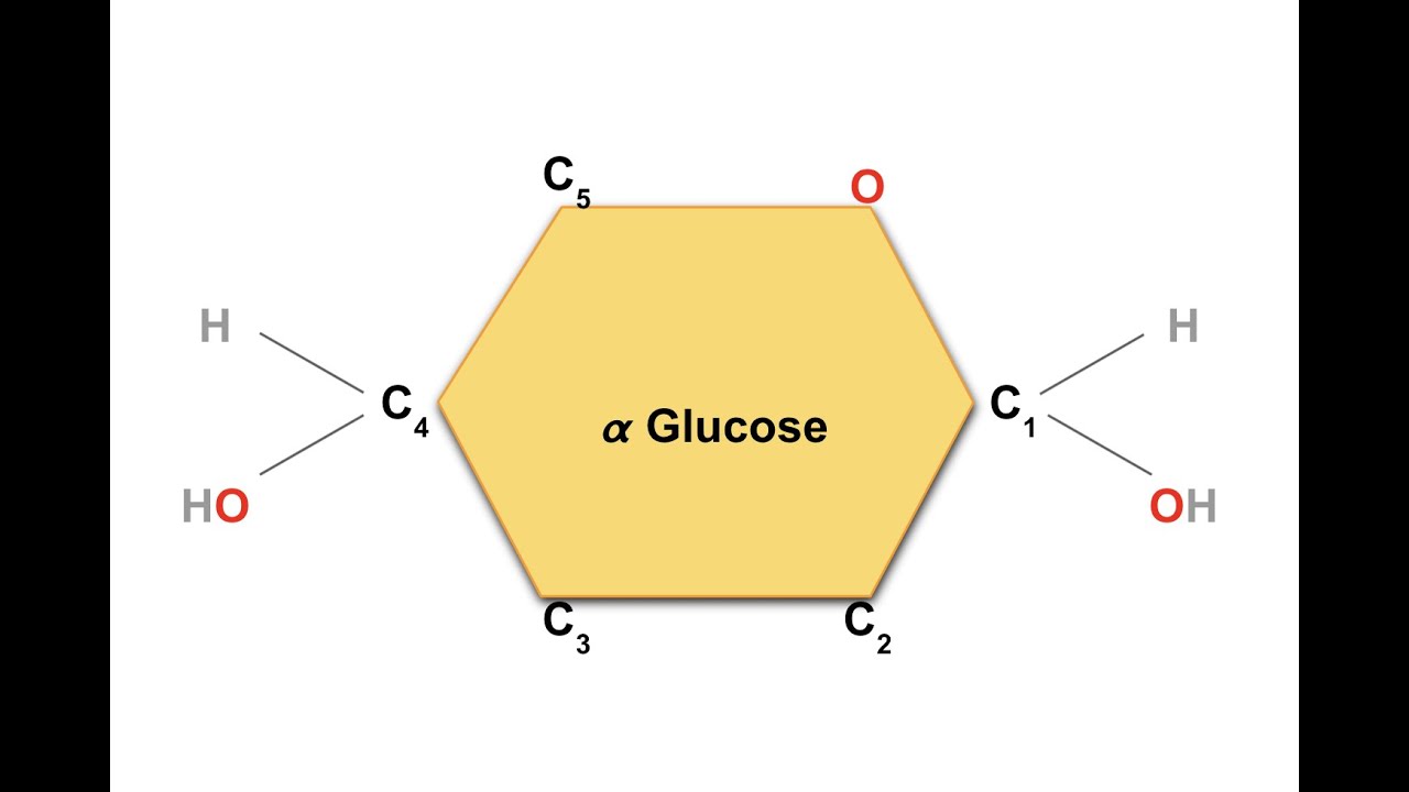 Understanding monosaccharides.For Edexcel/AQA/OCR/Educas A Level Biology.