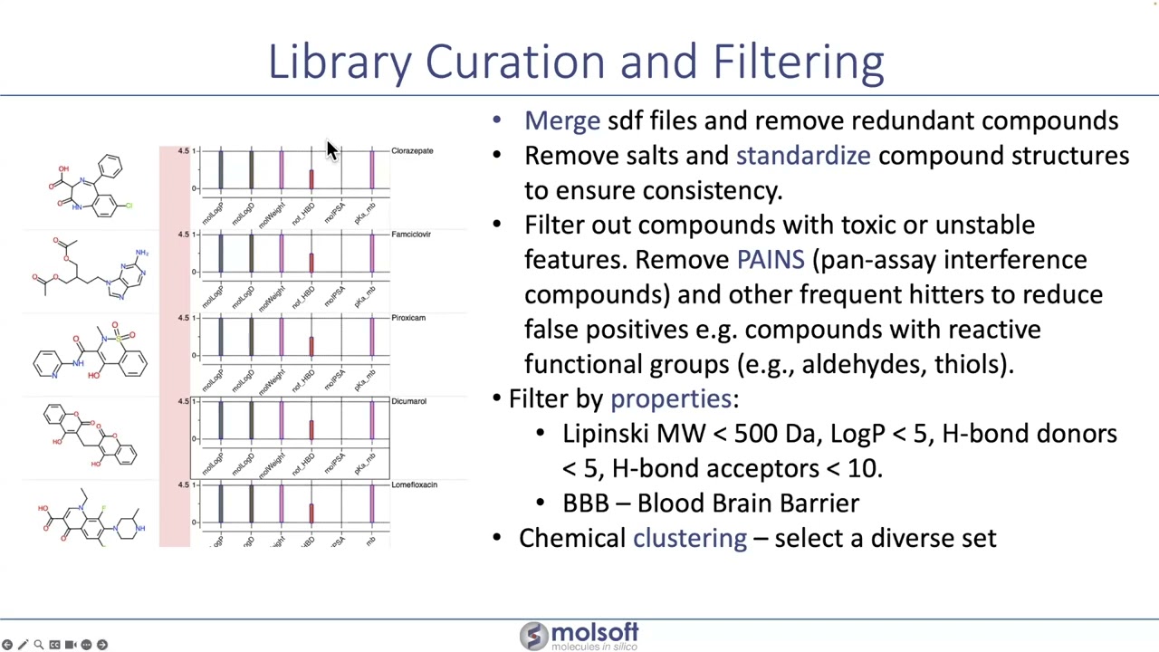 Preparing Chemical Libraries for Virtual Ligand Screening