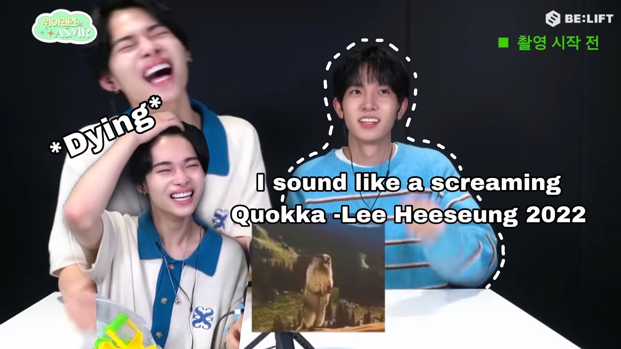 ASMR Heeki is pure chaos