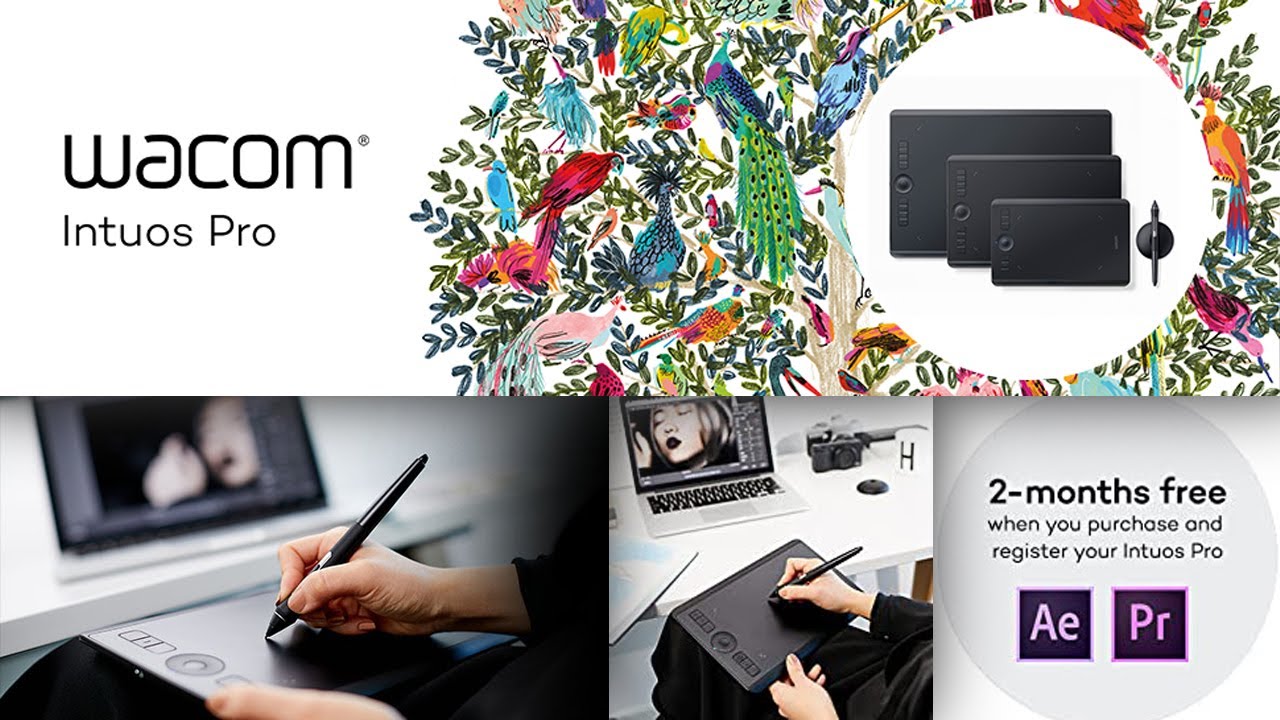 Wacom PTH460K0A Intuos Pro Digital Graphic Drawing Tablet for Mac or PC