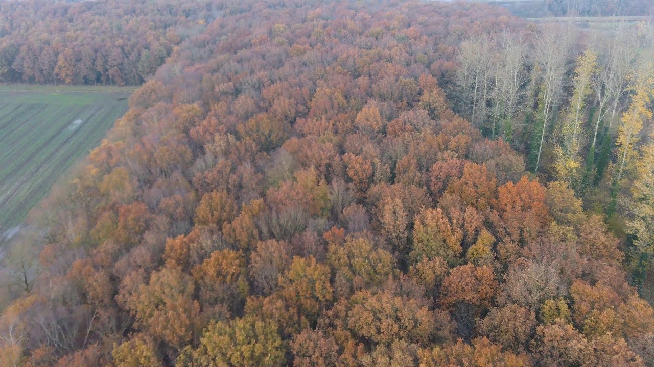 Hubsan Zino - nabij de Tjonger bij Oosterwolde