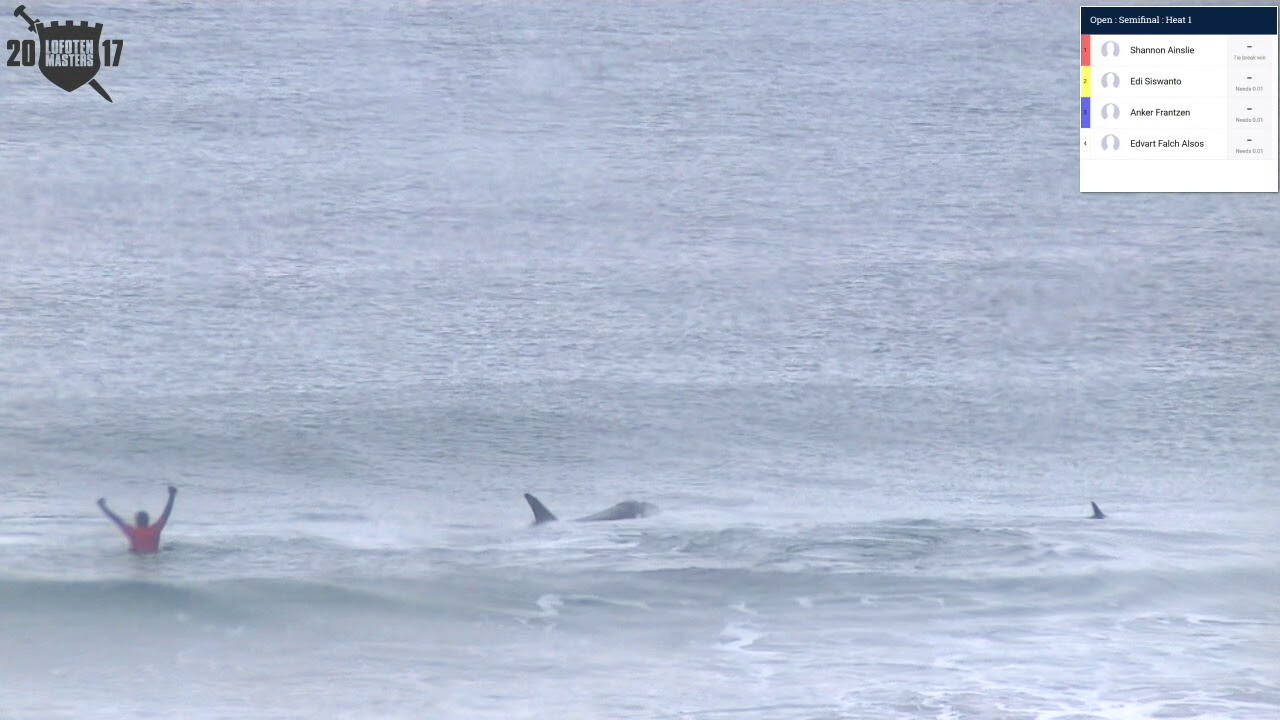 Killer Whales Join Surfers at the 2017 Lofoten Masters