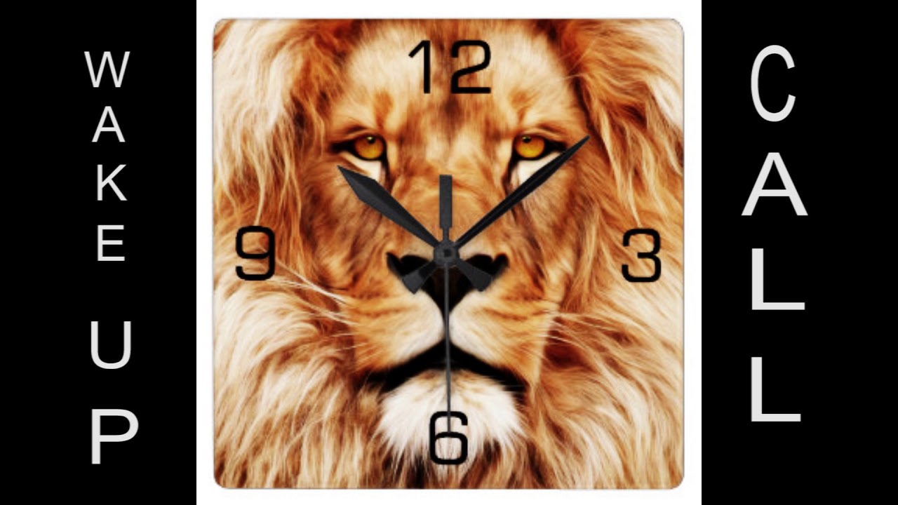 WAKE UP CALL - SPYDER DA CHIEFF