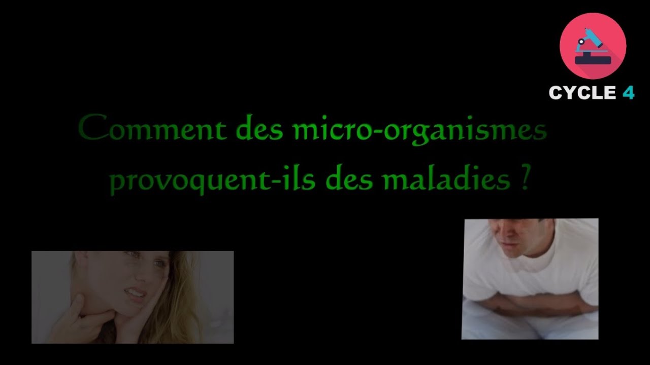 Les actions des micro-organismes pathogènes / Cycle 4 / 3ème