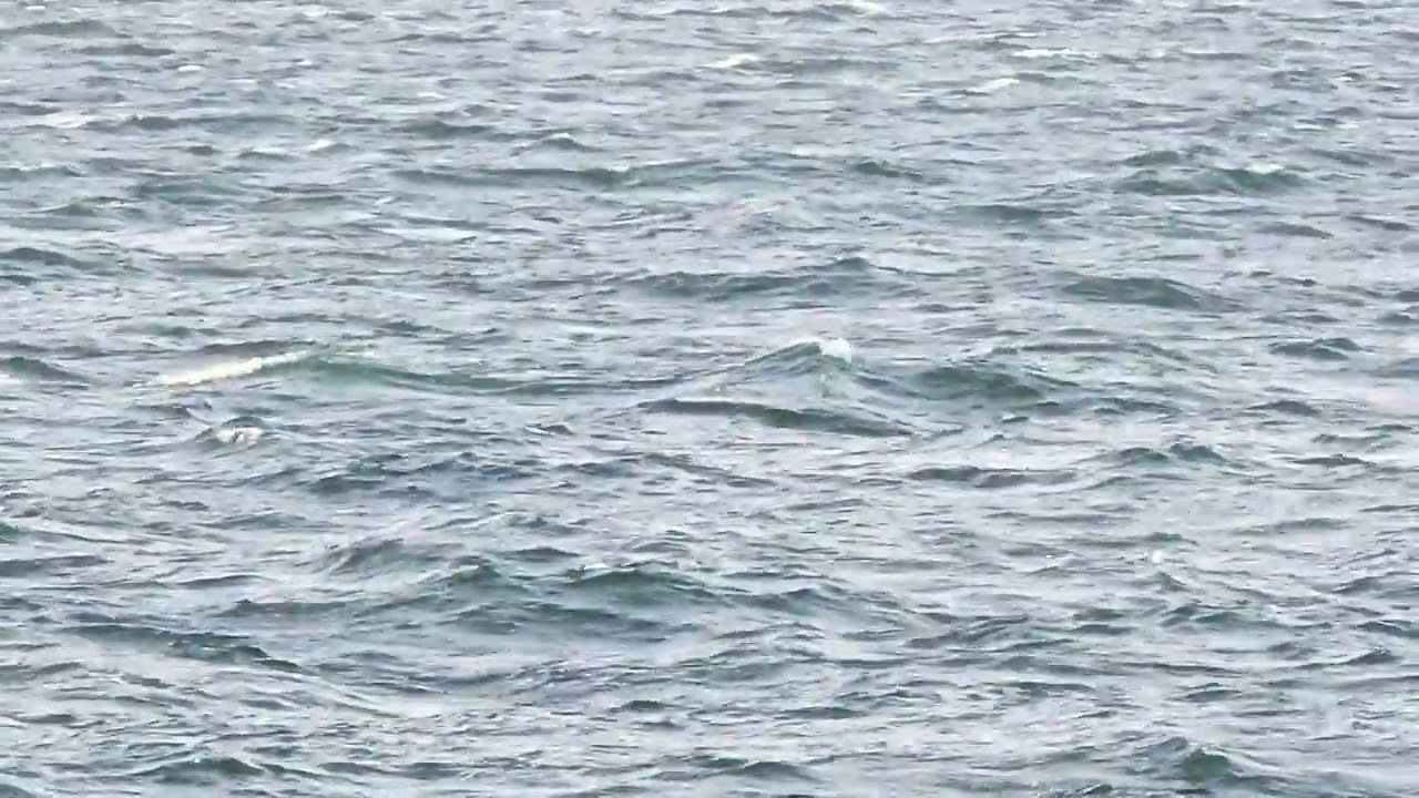 Ship accident in oman