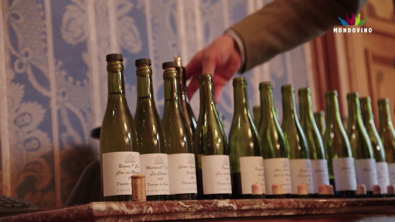 Découvrez la Bourgogne avec nous dans le vignoble d'Albert Bichot
