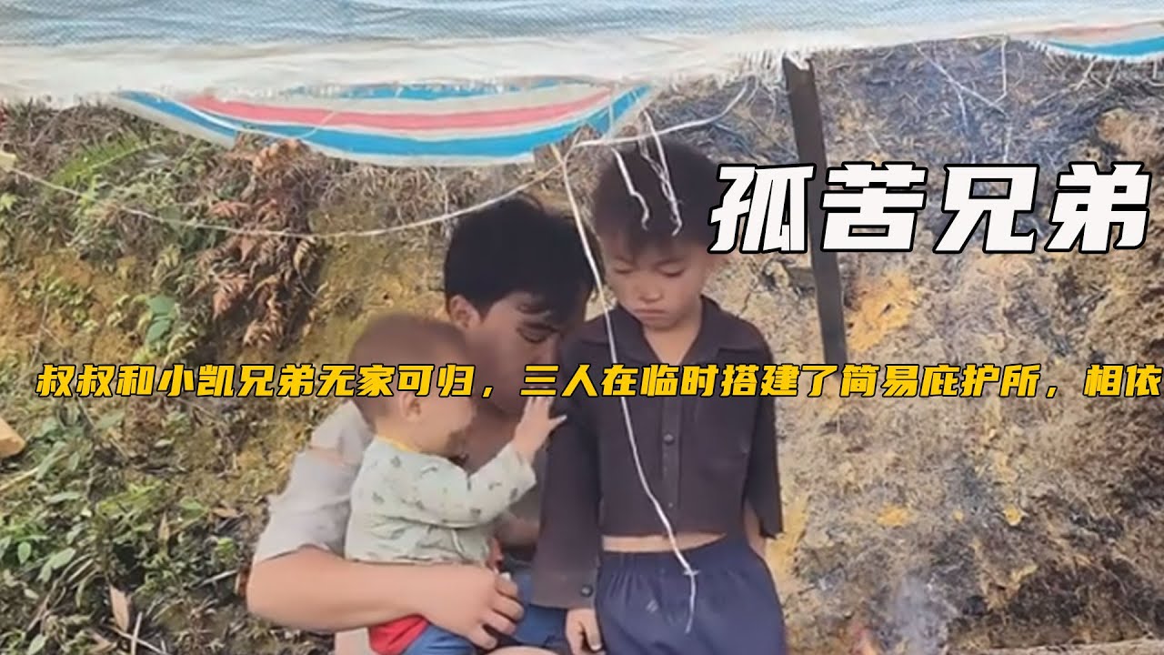 壹口氣看個爽，越南6歲小男孩小凱獨自帶著小弟弟在野外艱苦生活《71-75合集孤苦兄弟》
