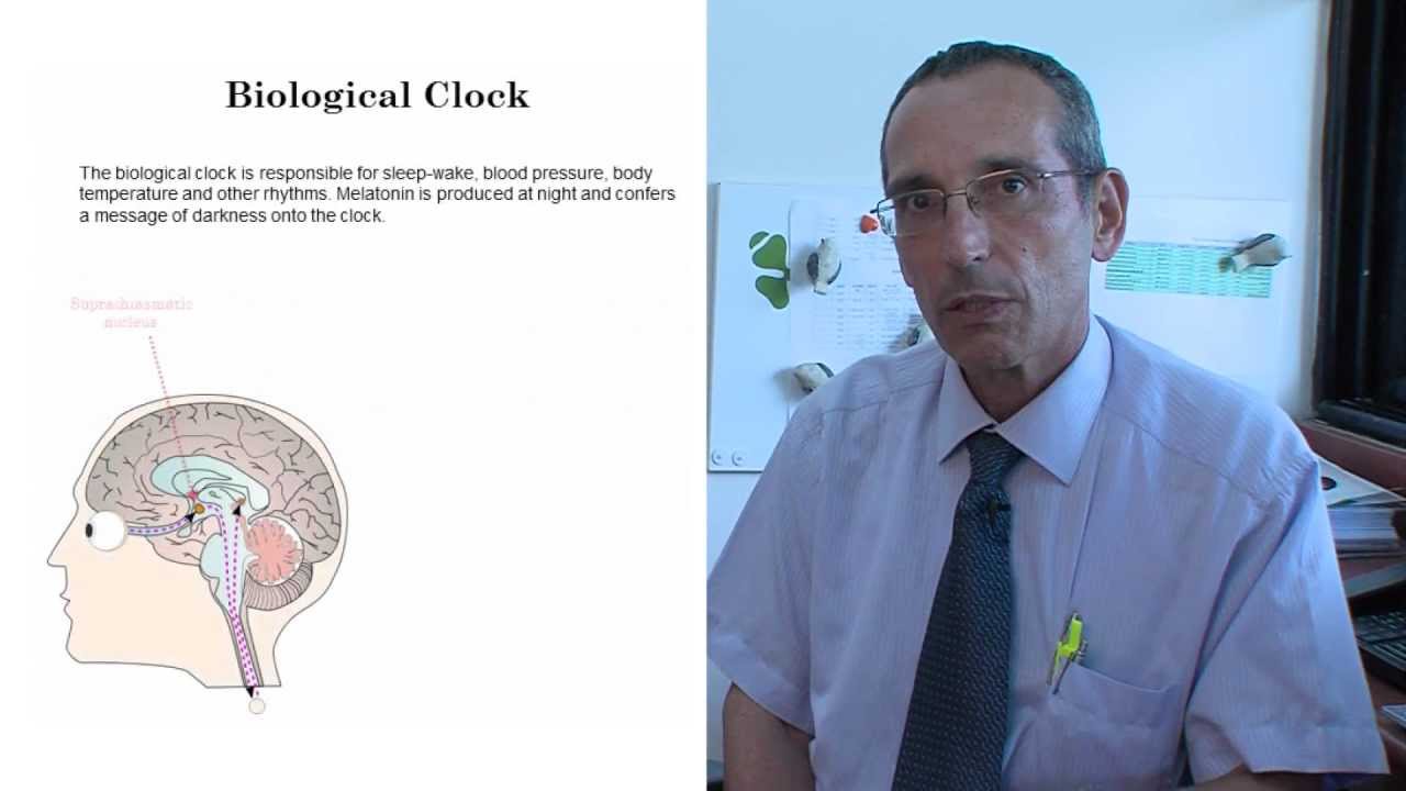 Effect of melatonin on nocturnal blood pressure - Video abstract: 24603