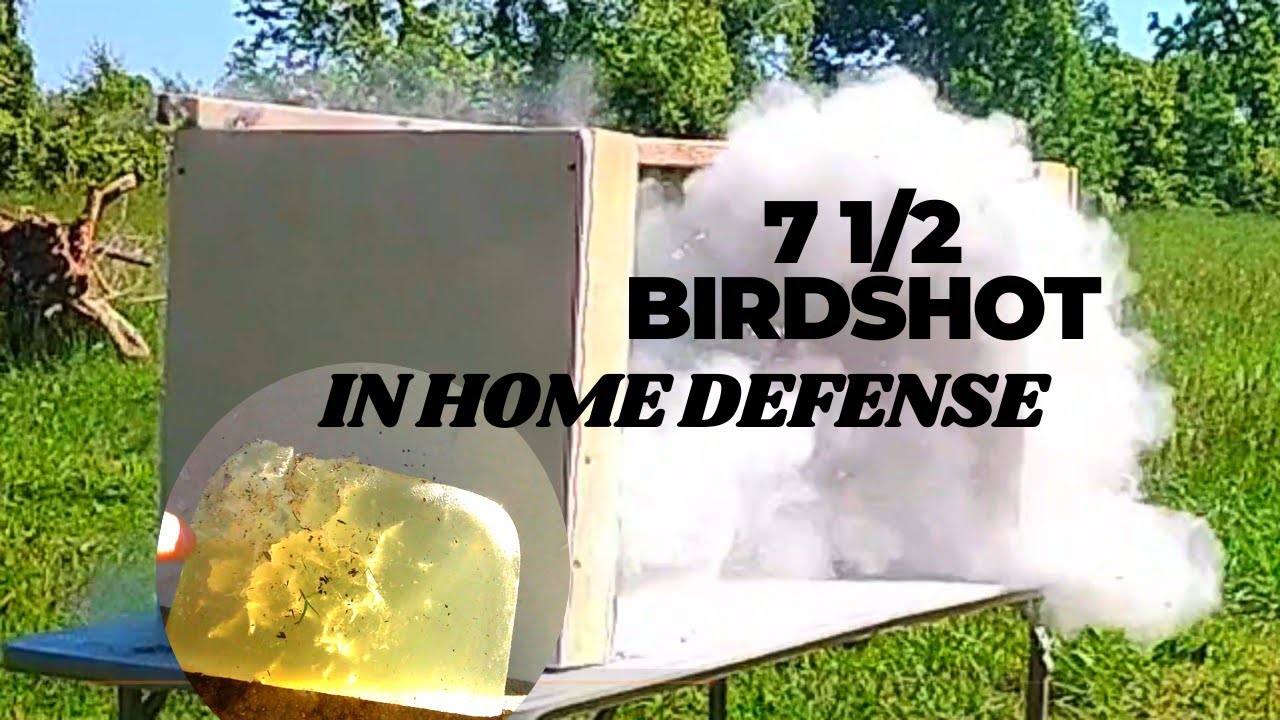 IS 12 GAUGE 7 1/2 BIRDSHOT GOOD FOR HOME DEFENSE?