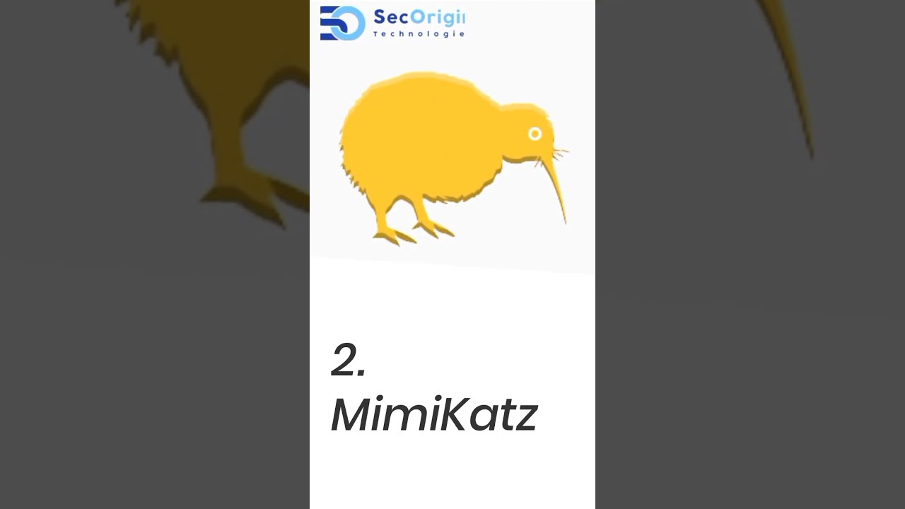 Top 4 Popular Red Team Tools #shorts #ethicalhacking #redteamtools #redteam #secorigintechnologies